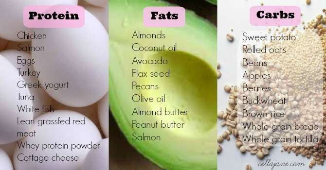 Healthy Protein Fats Carbs